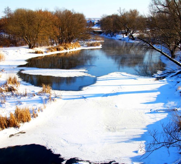 Река Тихая сосна Алексеевка