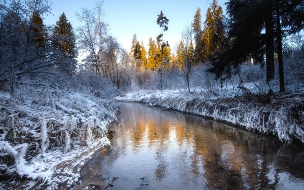 Зимний лес с речкой