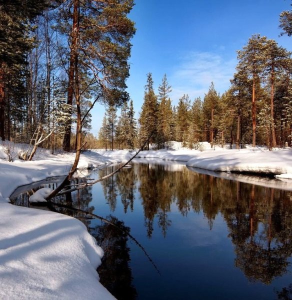Ранняя Весна в Карелии