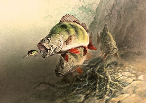 Художник Дегтев Александр рыбалка