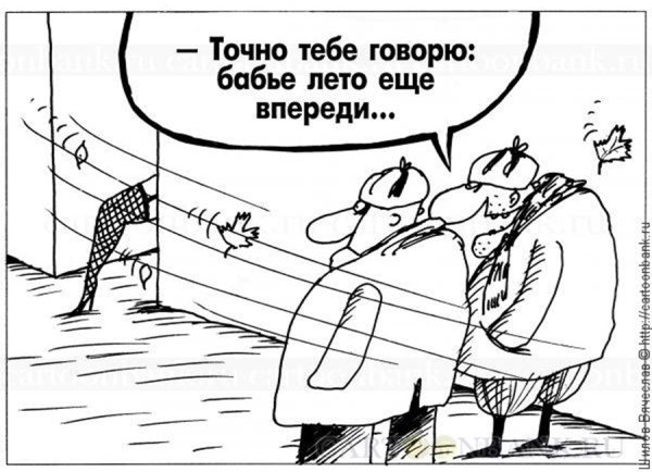 Бабье лето юмор