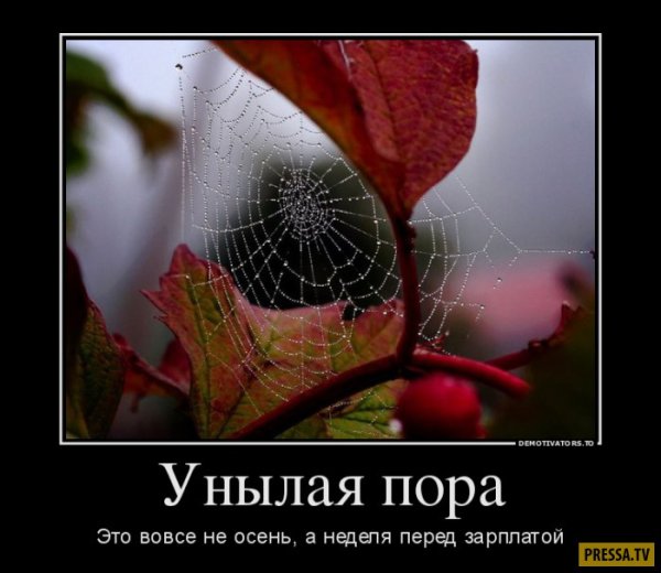 Шутки на тему осени