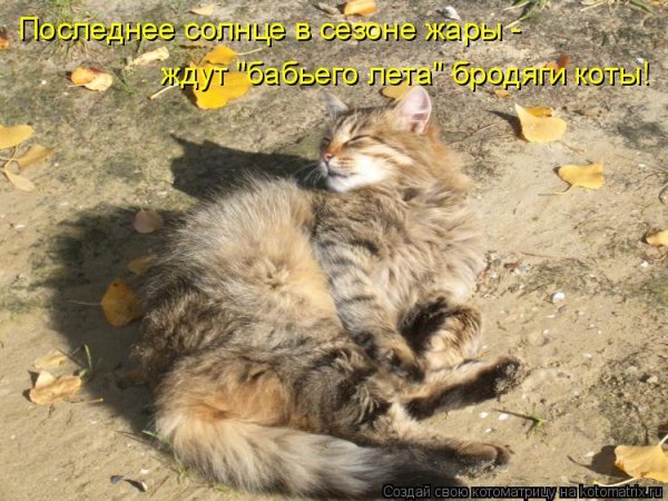 Юмор старушки в парке