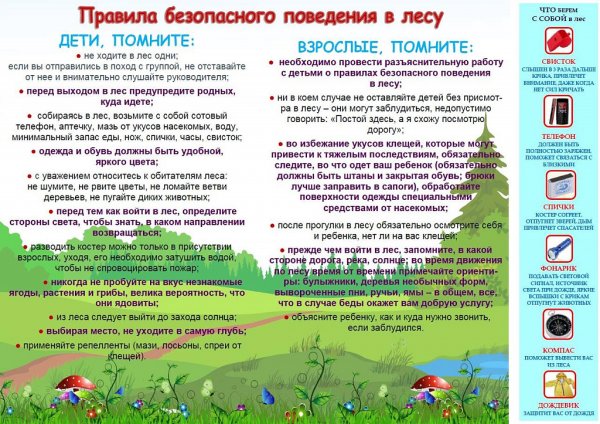 Безопасность в лесу для детей