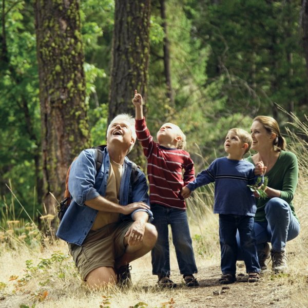 Прогулка в лесу