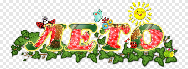 Лето надпись красивая