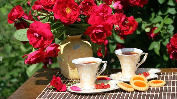 Чашка кофе цветы в саду