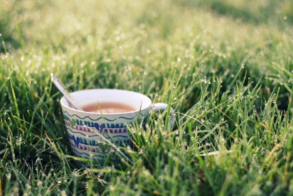 Чашечка утреннего чая