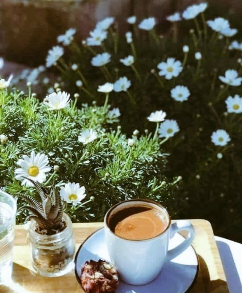 Чай с фруктами и ягодами