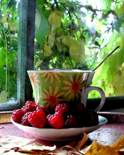 Чаепитие в горах