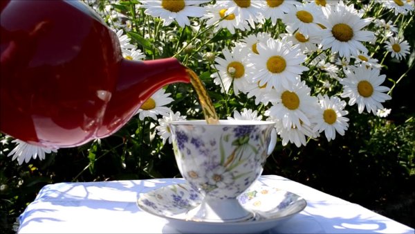 Вкусного чаепития