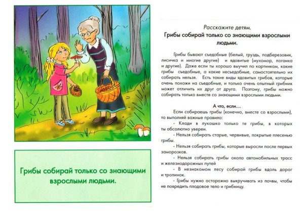 Безопасность детей летом