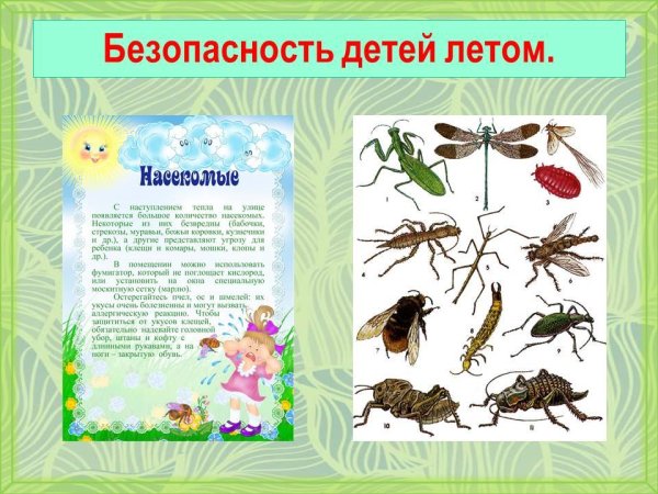 Безопасность летом