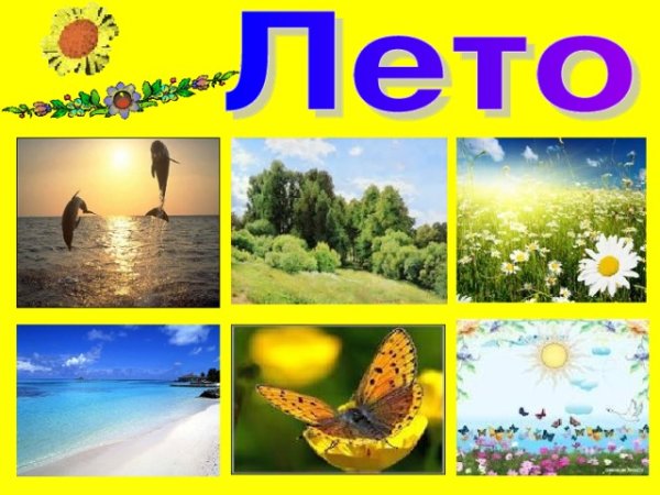 Признаки лета в картинках для детей
