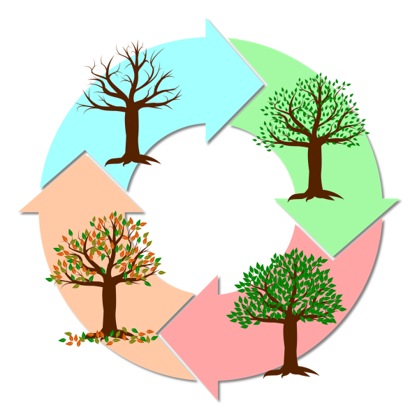 Народные приметы