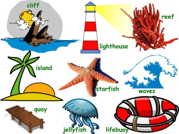 Летняя лексика на английском