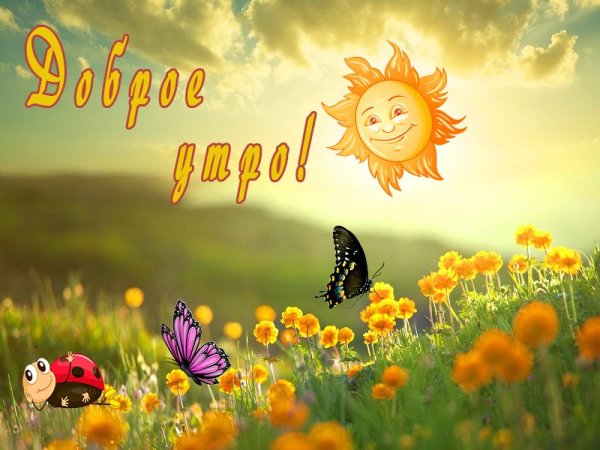 Летнее небо и солнце