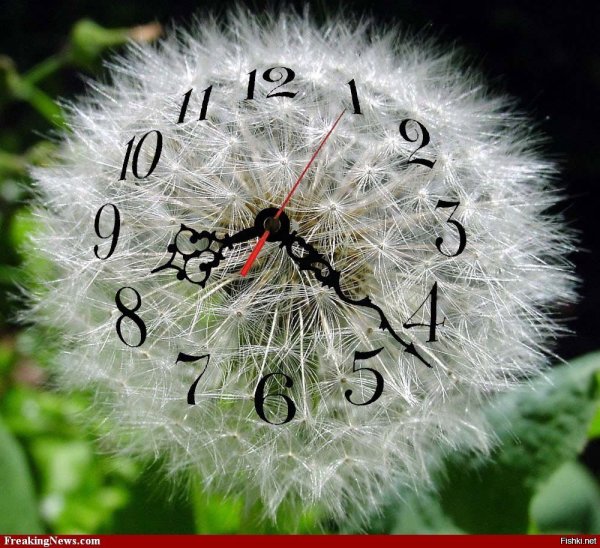 Часы, идущие назад