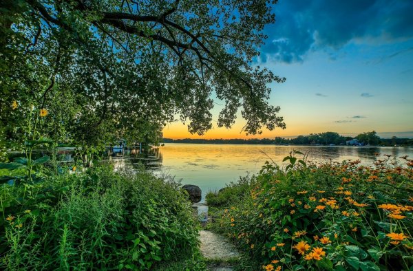 Летнее утро на реке