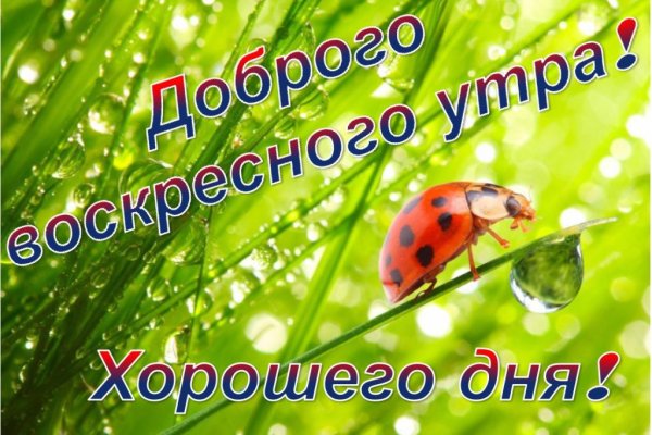 Доброе Воскресное утро прикольные