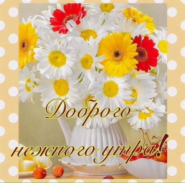 Доброе утро хорошего дня и прекрасного