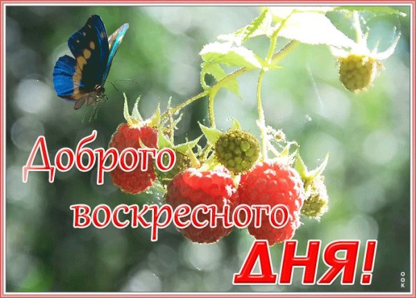 С добрым летним утром гифки красивые