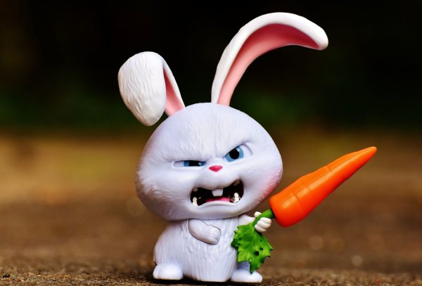 Прикольные морды женщин