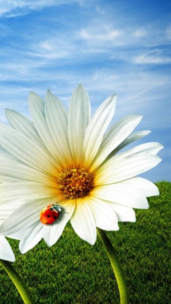 Заставка на рабочий стол дождь