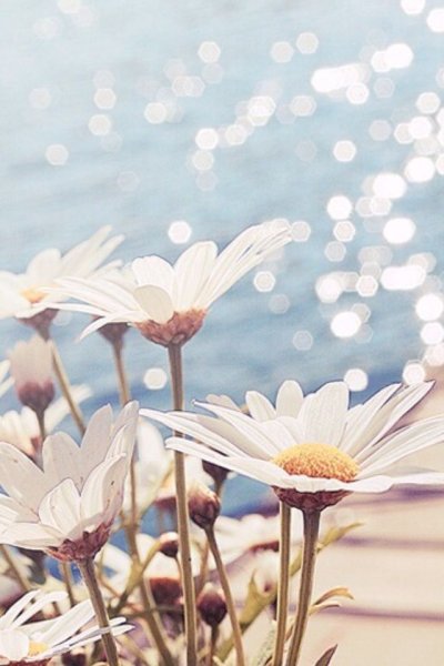 Девушка летом со спины