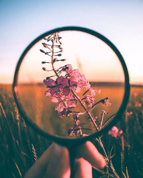 Лето солнце очки