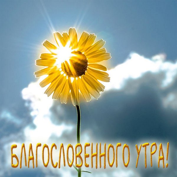 Девушка с зонтиком у моря