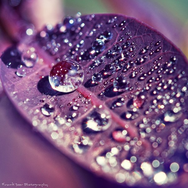 Эстетика лета море