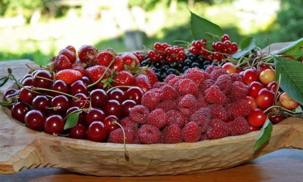 Вишня малина смородина клубника