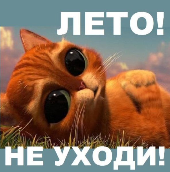 Демотиватор лето кончилось