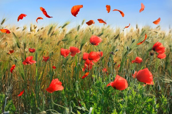 Последний день лета мемы