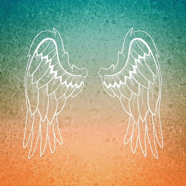 Крылья ангела