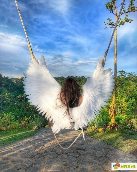 Крылья счастья