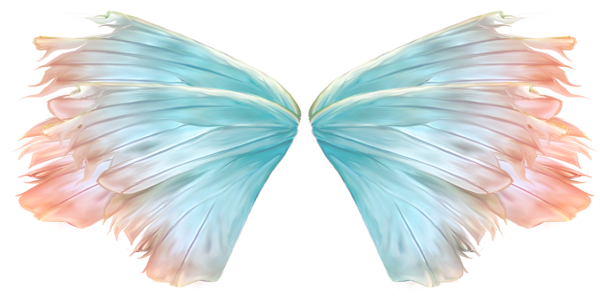 Крылышки феи