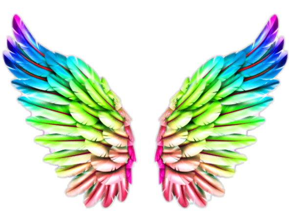 Радужные Крылья