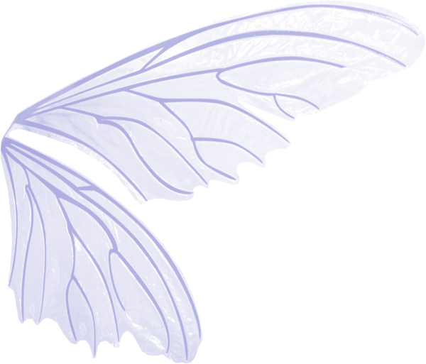 Крылья феи сбоку