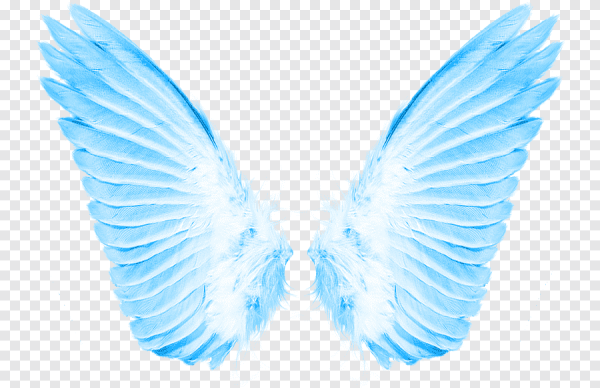 Голубые Крылья