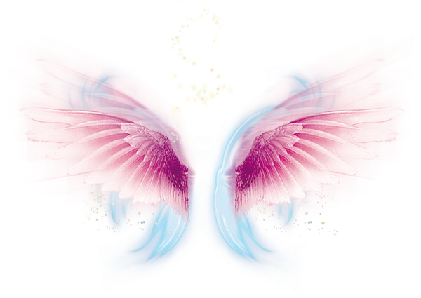 Розовые Крылья