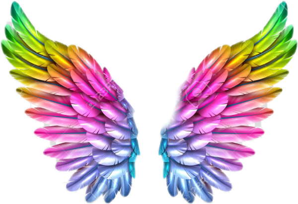 Разноцветные Крылья