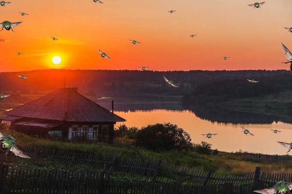 Красивый закат в деревне