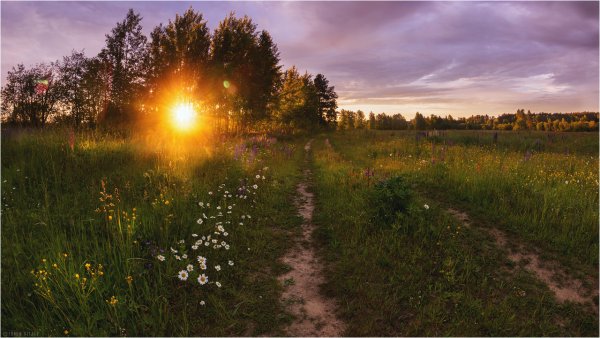 Рассвет природа Архангельской области