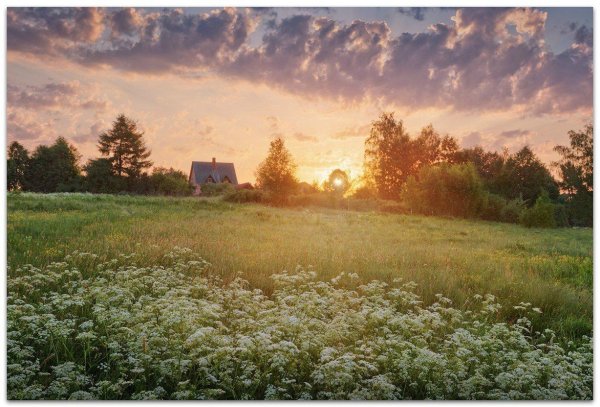 Солнечное лето в деревне
