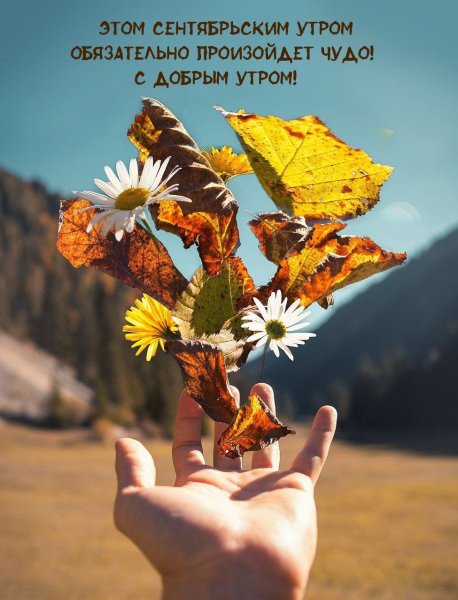 Летние цветы