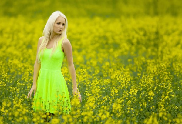 Evgeny Freyer модель