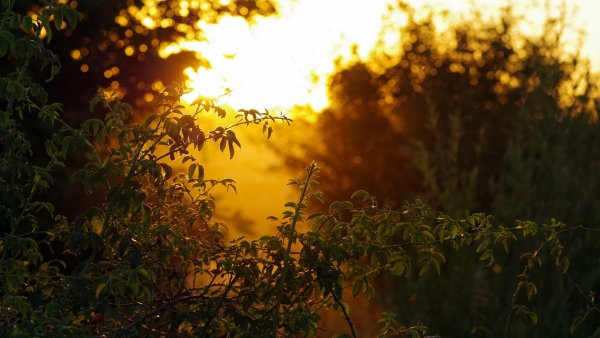 Осень Эстетика солнце