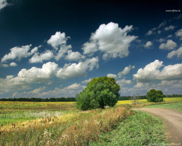 Конец лета грусть